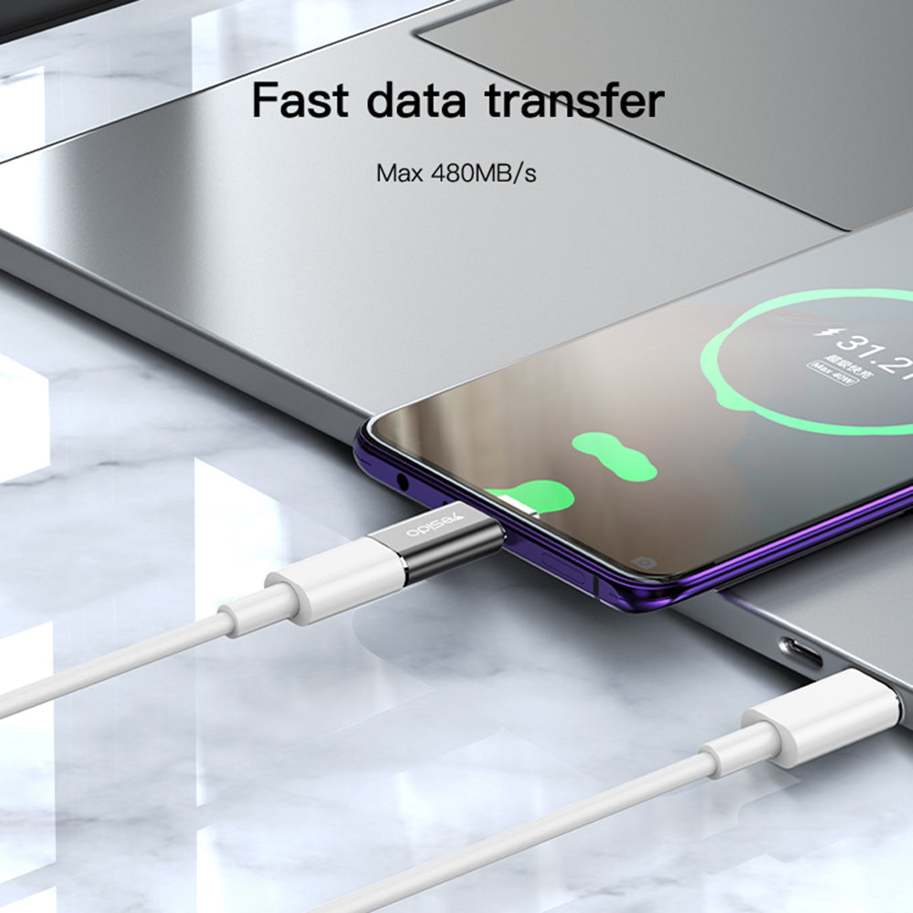 Lightning Data and Charging Adapter - USB-C Yesido GS22, Gray
