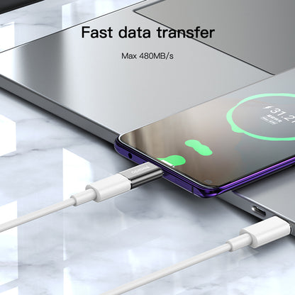 Lightning Data and Charging Adapter - USB-C Yesido GS22, Gray