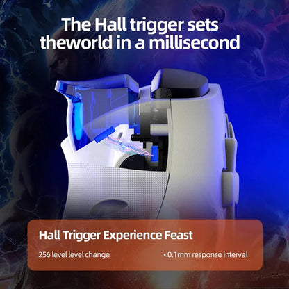 Techsuit BSP-D9 Controller, White